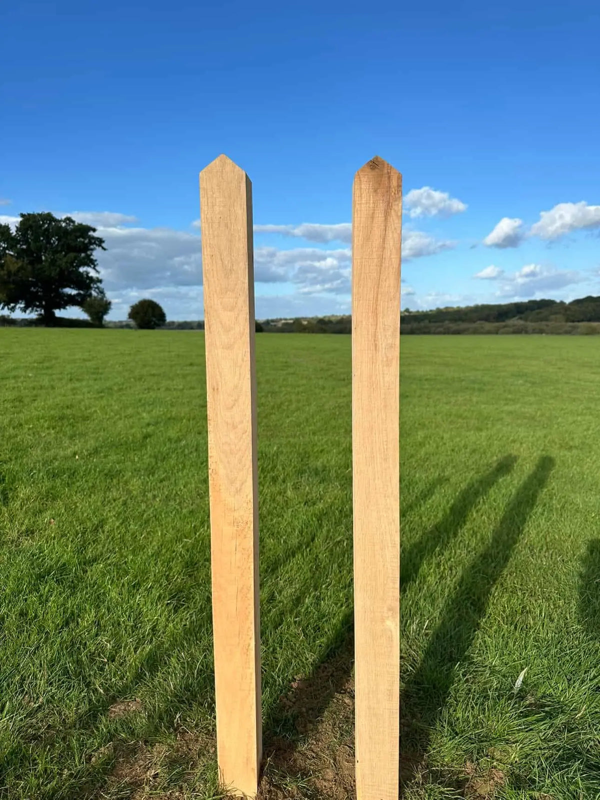 Rustic Solid Oak Posts