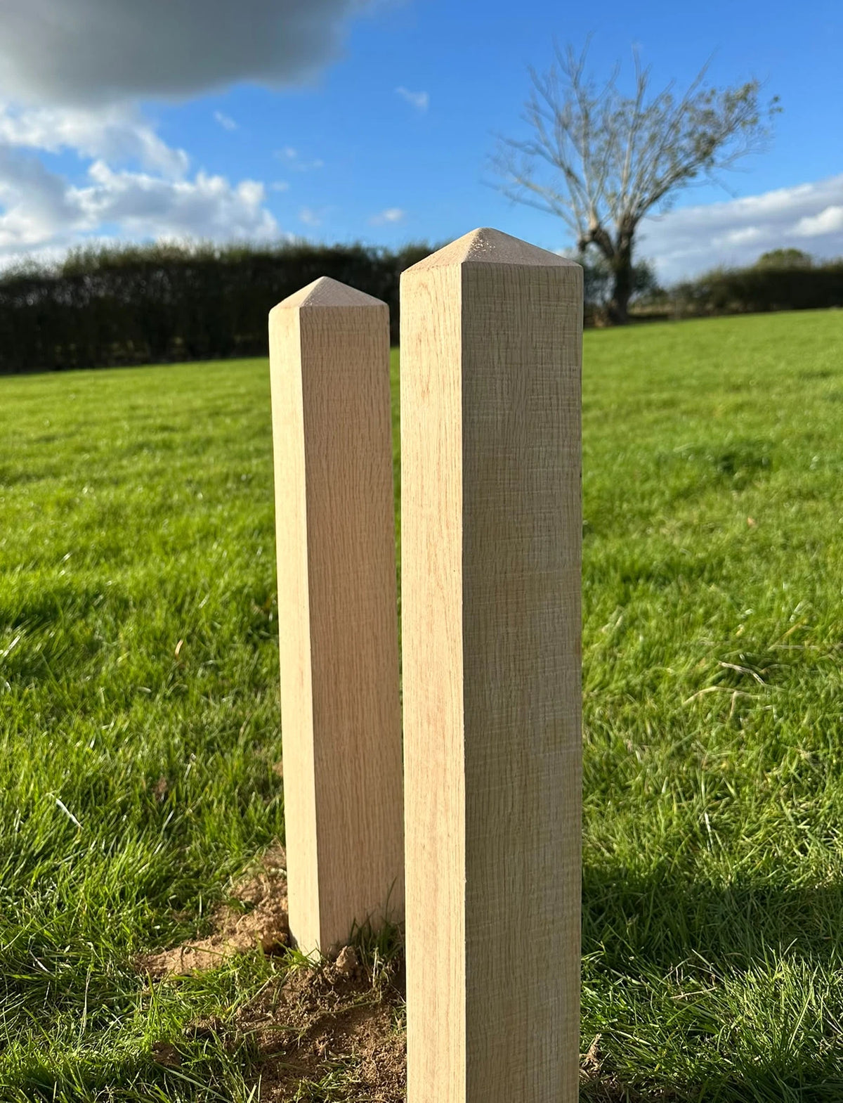 Two light wood posts standing upright in a grassy field outdoors under a blue sky with clouds.